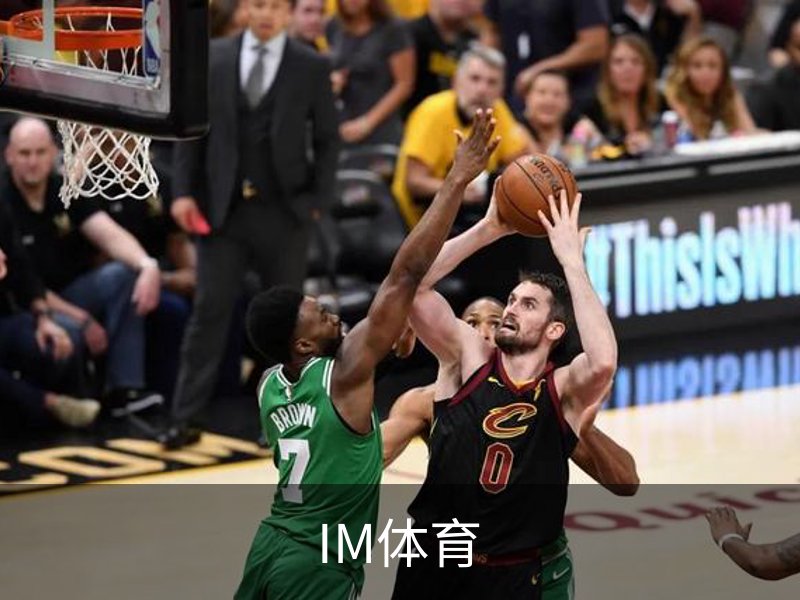 IM体育简介